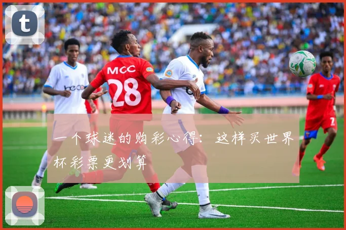 一个球迷的购彩心得：这样买世界杯彩票更划算